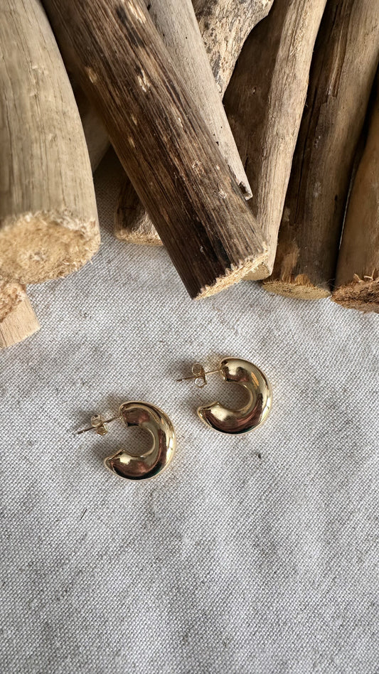 Chloe Earrings