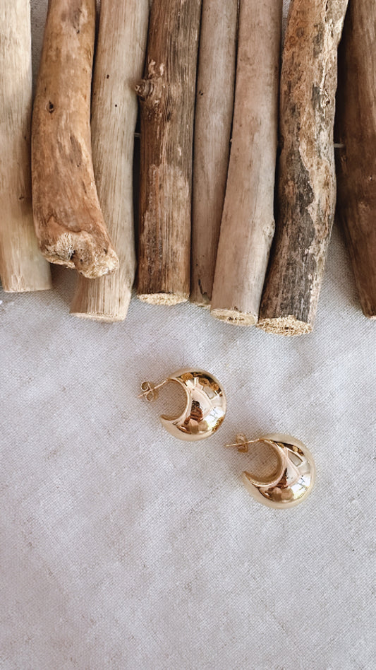 Crescent Moon Earrings