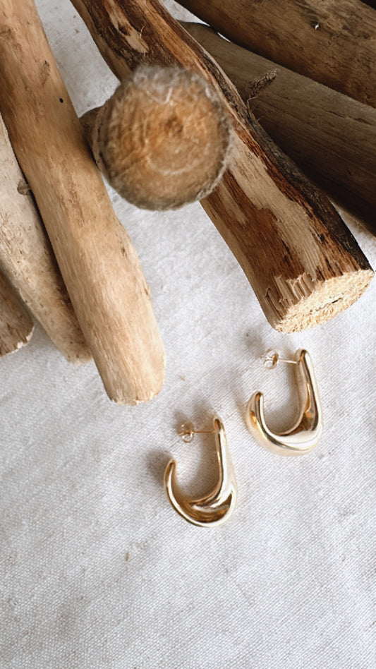 Fish Hook Earrings