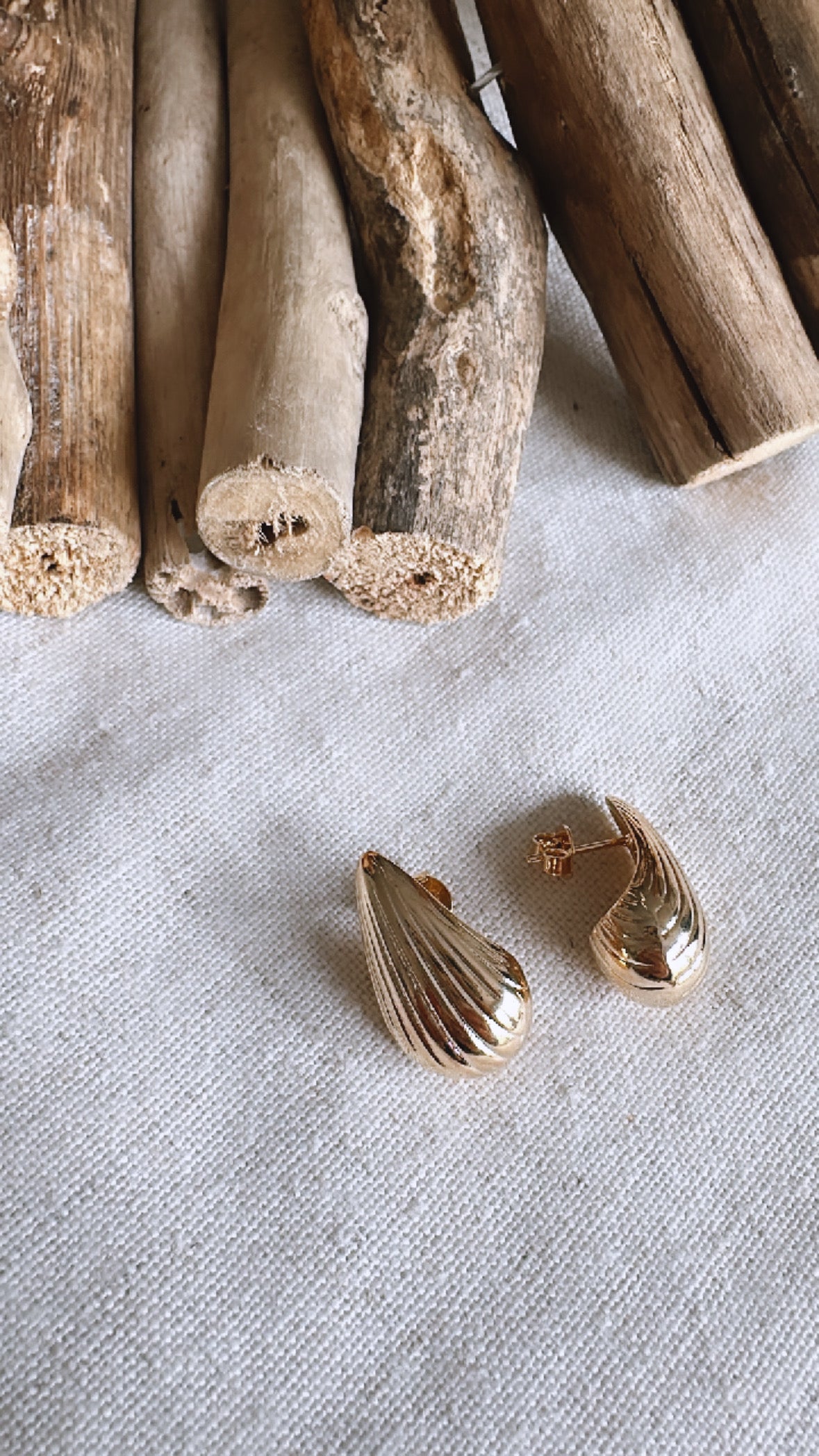 The Golden Hour Collection - 18K Gold Filled Shell Textured - Earrings