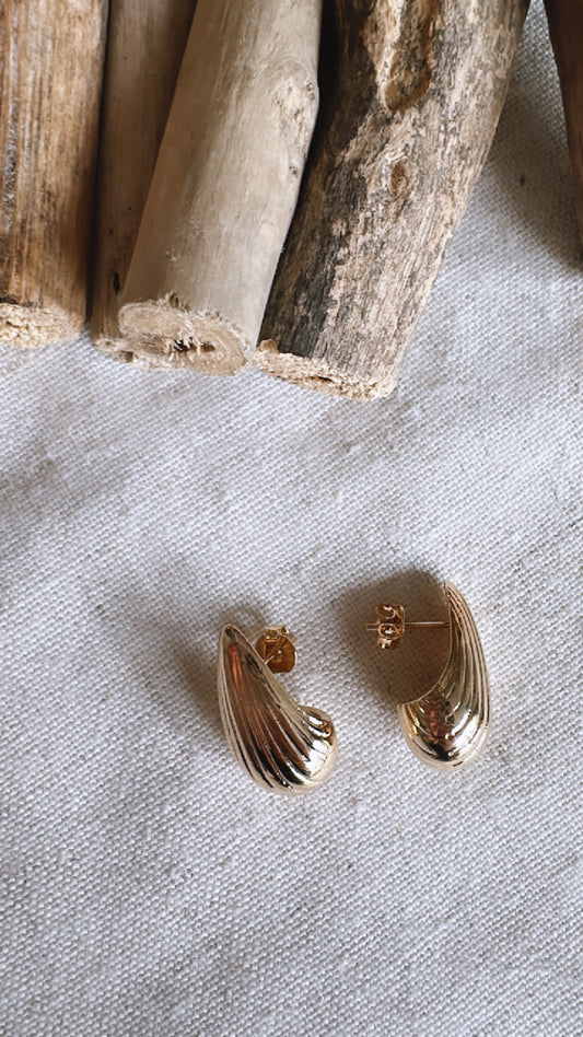 The Golden Hour Collection - 18K Gold Filled Shell Textured - Earrings