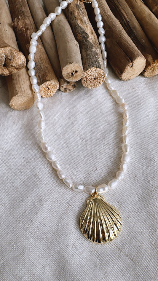 The Golden Hour Collection - Freshwater Seed Pearl with Shell - Necklace